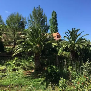 Hébergement de vacances Casa D'olivia, Porto Da Cruz